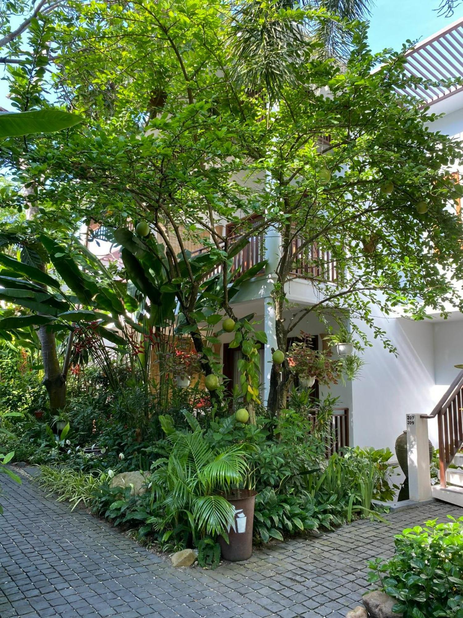 Garden Deluxe Room